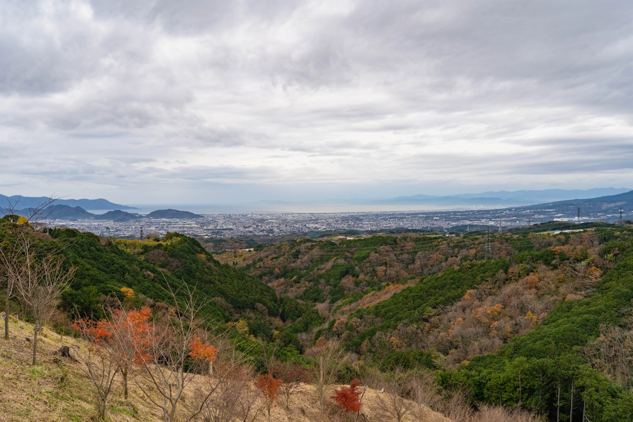 Mishima,_Shizuoka[1].webp